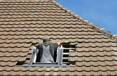 Pose de velux - Brains